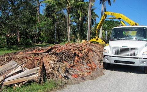 Storm Debris Removal | Martin County Florida