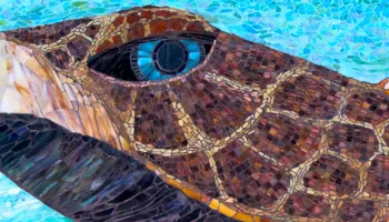 A turtle art piece made of colorful mosaic tiles