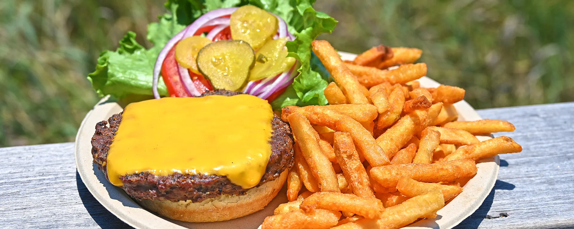 Cheeseburger with pickles, onions, tomato, and lettuce with a side of fries