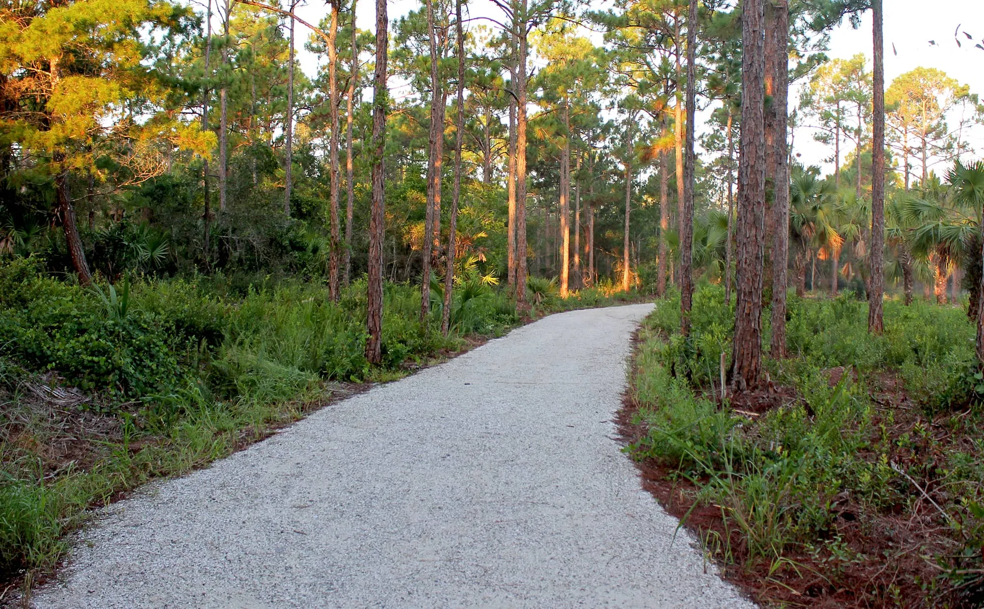 A gravel path at Deleplane Preserve