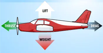 The four forces enabling flight